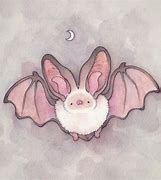 Image result for Funky Bat