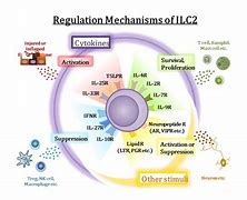 Image result for Specific Immune Response