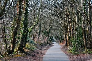 Image result for Taff Trail Tongwynlais