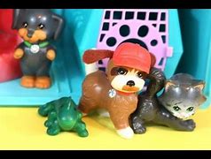 Image result for Pet Toys