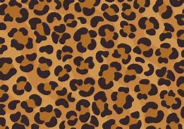 Image result for Cheetah Printable Pattern