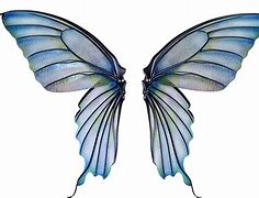 Image result for Gold Fairy Wings