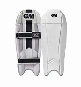 Image result for Wicket Keeping Pads