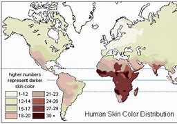 Image result for Human Skin Color Map