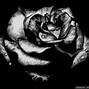 Image result for Black and White Gothic Wallpaper