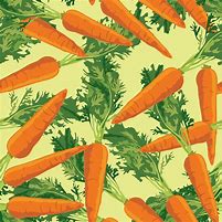 Image result for Carrot Background