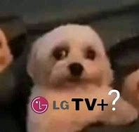 Image result for Pride Question Mark Meme