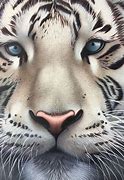 Image result for White Tiger Painting