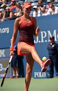 Image result for US Open Tennis