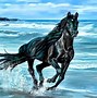 Image result for Desktop Wallpaper Running Horse