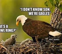 Image result for Eagles Lose Super Bowl Meme