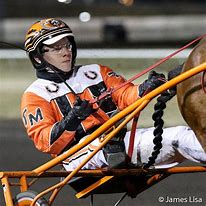 Image result for Harness Racing Carts