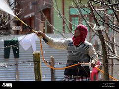 Image result for Apple Spray Images Kashmir