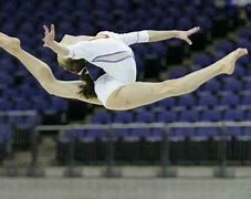 Image result for Aerial Gymnastics