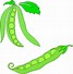 Image result for Peas Clipart