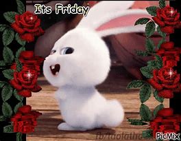 Image result for Happy Friday Rabbit