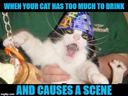 Image result for Too Much Party Cat Meme