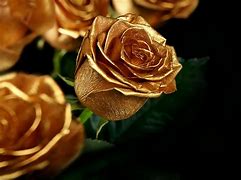 Image result for Roses Painted Gold