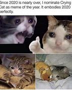 Image result for Crying Cat Meme Phone