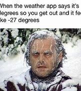 Image result for Niche Memes Winter