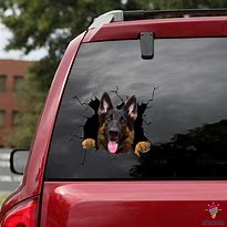 Image result for Funny Car Stickers for Dogs