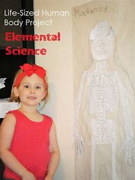 Image result for Printable Skeleton Body Life-Size