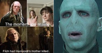 Image result for Harry Potter Memes Dramione