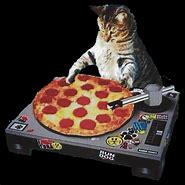 Image result for Pizza Cat DJ