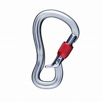 Image result for Carabiners Mountaineering