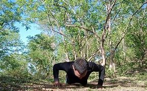 Image result for The Push Up Challenge