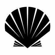 Image result for Shell Icon Vector