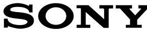 Image result for Sony Logo with Rock