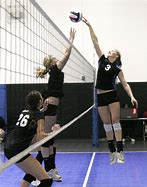 Image result for Volleyball Shoes
