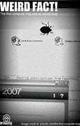 Image result for Real Computer Bug