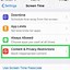 Image result for How to Turn On Volume On Settings On the iPhone