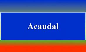 Image result for acaudalafo