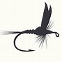 Image result for Fly Fishing Flies Clip Art