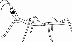 Image result for Stick Bug Coloring Page