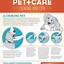Image result for Pet CPR Infograph