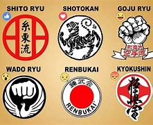 Image result for Karate Styles