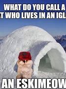 Image result for Cute Snow Memes