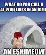 Image result for Snow Animal Meme
