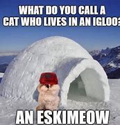 Image result for Wishing for Snow Meme