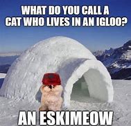 Image result for Snow Funny Cat Memes