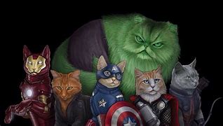 Image result for Superhero Cat Meme