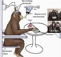 Image result for Brain Waves Meme