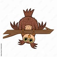 Image result for Owl Hanging Upside Down Cartoon