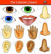 Image result for Five Senses Clip Art Free