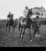Image result for Synthetic Horse Racing Surface