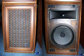 Image result for Magnavox Hf5s1c Speaker